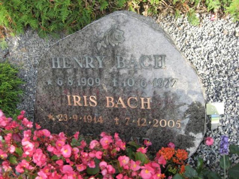 Henry Bach.jpg